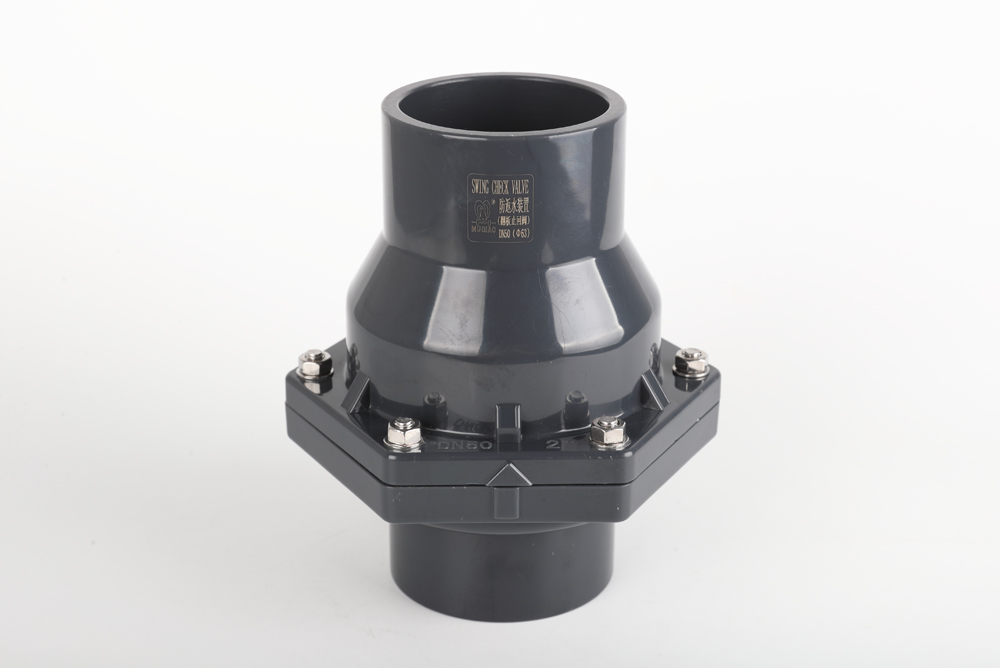 礼县翻板式止回阀