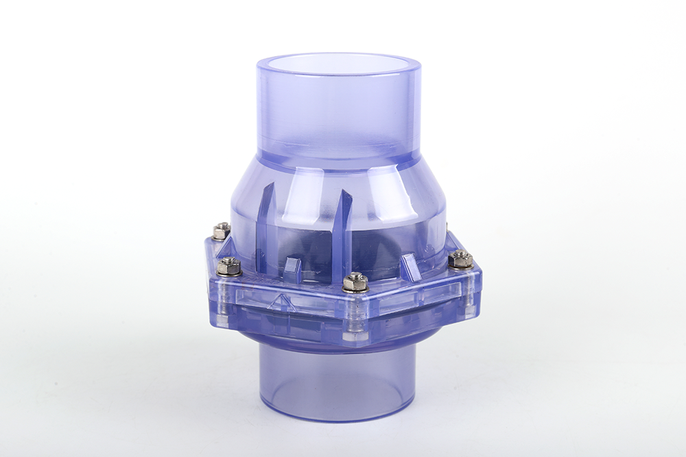 礼县透明翻板式止回阀